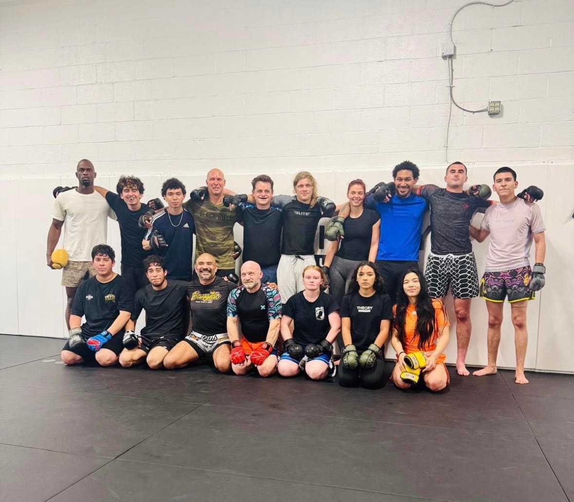 Adult Brazilian Jiu Jitsu class at Theory